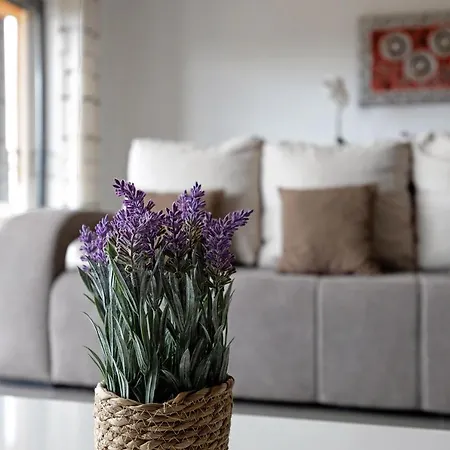 Paraiso A Beira Mar -sol E Апартаменты Портиман