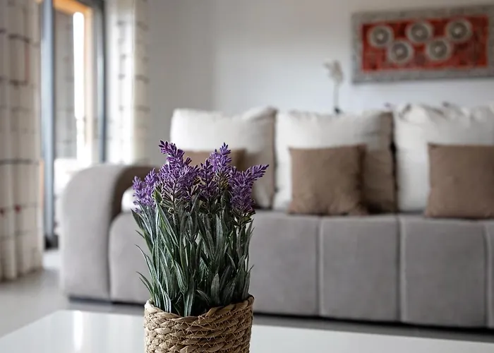 Paraiso A Beira Mar -sol E Lägenhet Portimão